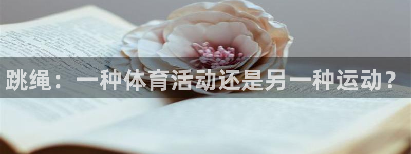 球王会体育