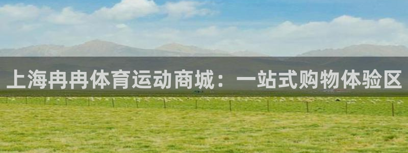 球王会体育