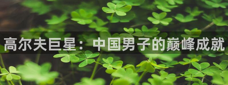 球王会体育