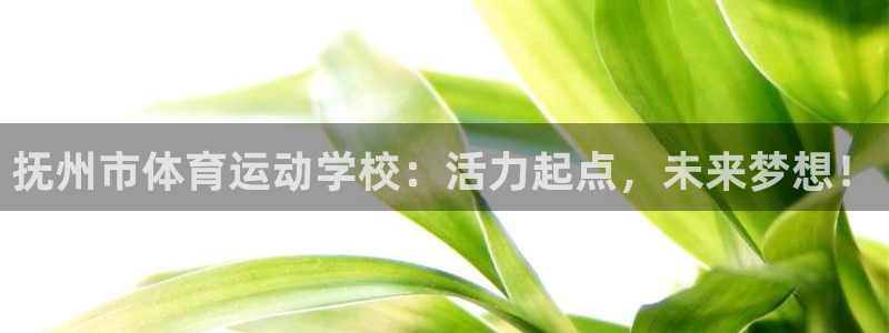 球王会体育
