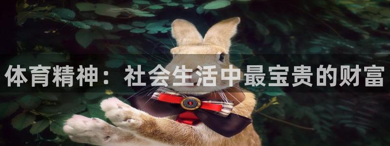 球王会体育