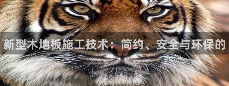 球王会体育