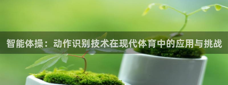 球王会体育