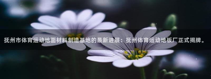 球王会体育