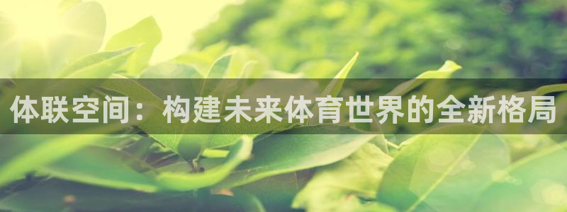 球王会体育