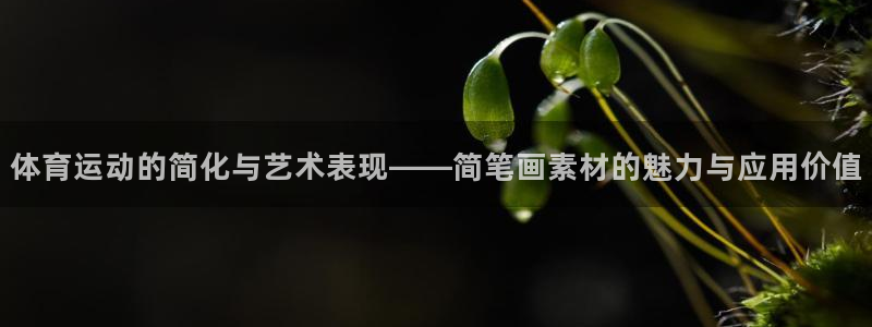 球王会体育