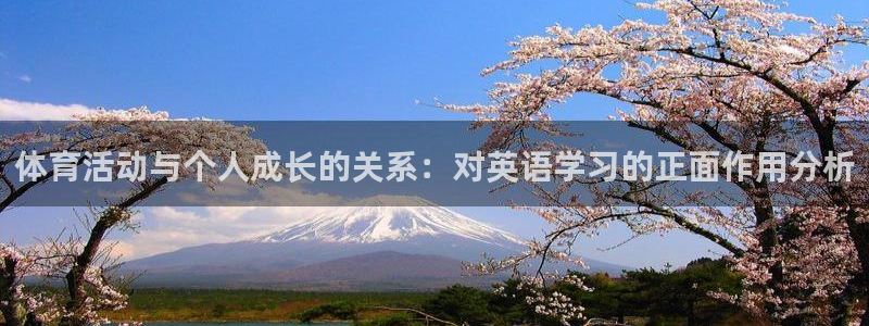 球王会体育