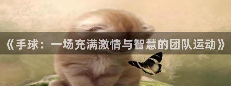 球王会体育