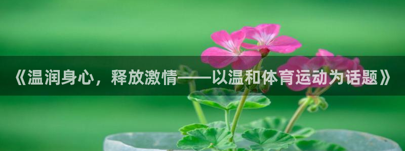 球王会体育