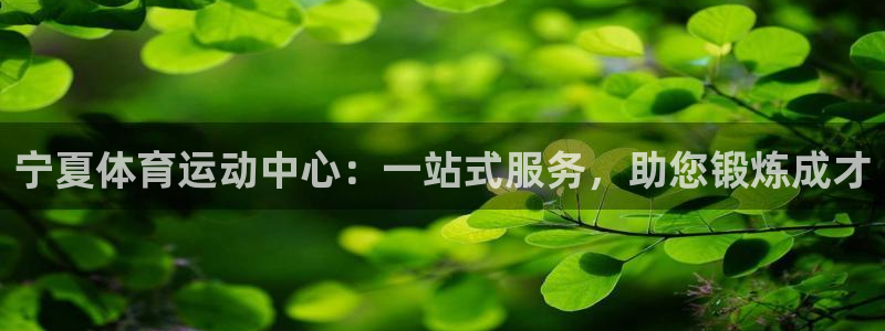球王会体育