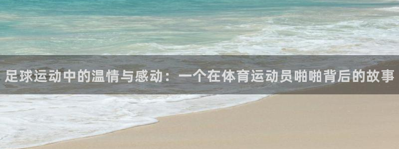球王会体育