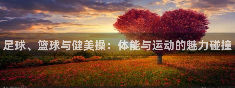 球王会体育