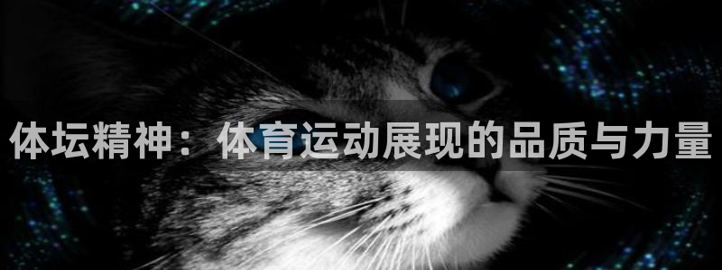 球王会体育