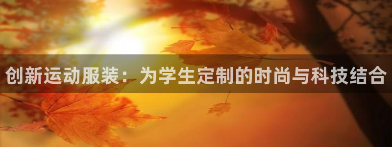 球王会体育