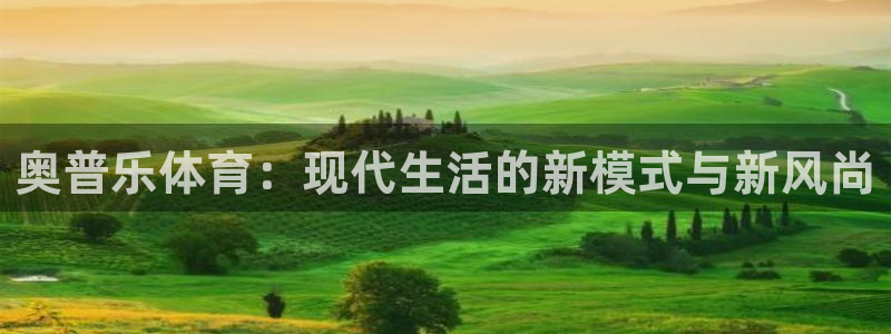 球王会体育