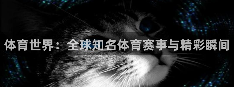 球王会体育